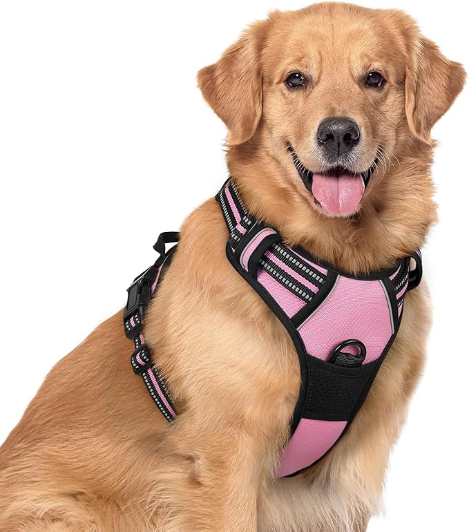 rabbitgoo Dog Harness No Pull with 2 Leash Clips, Adjustable Soft Padded, Reflective Oxford No Choke Pet Vest with Easy Control Handle for Large Dogs, Pink, XL-Mewly Pet