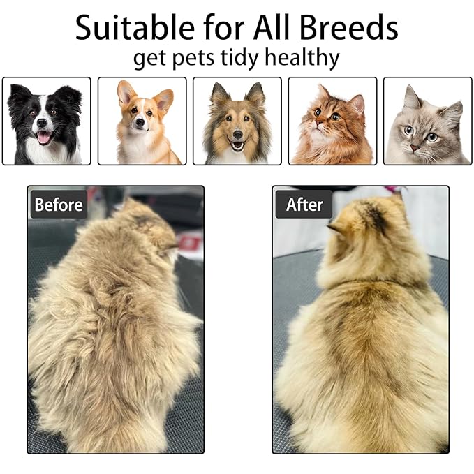 Cat Steam Brush For Shedding, Steamy Dog Grooming Brush With 2-Speed Spray, Blue Light And Release Button, Rechargeable Water Pet Hair Brushes Wet Self Cleaning Cat Spa Brush Cat Comb (White)-Mewly Pet