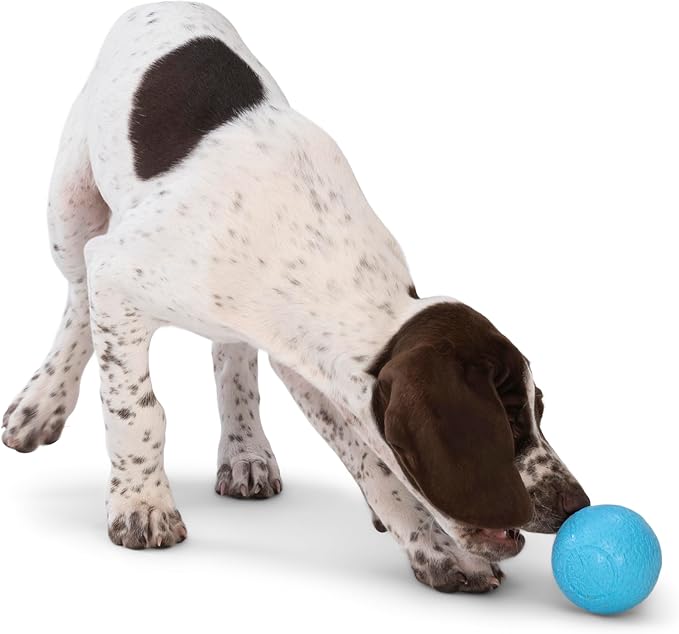 WEST PAW Boundr Ball Dog Fetch Toy – Bouncing Toys for Dogs, Fetch, Catch, Chewing, Play – Floatable, Recyclable Balls – Small Hot Pink/Aqua Blue 2-Pack-Mewly Pet