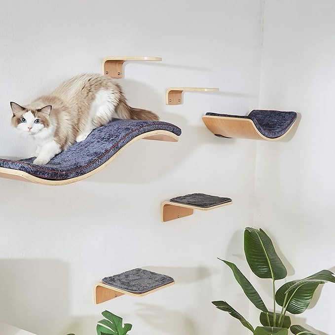 Cat Wall Shelf with Two Steps - Curved Cat Shelves and Perches for Wall (Large Size) - Wall Mounted Cats Furniture for Sleeping, Playing, Climbing, and Lounging-Mewly Pet