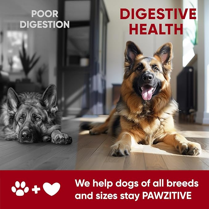 Probiotics for Dogs Digestive Health - Probiotic Chews for Gut Health, Itchy Skin Yeast, Diarrhea - USA Product - Immune Support Supplement - Dog Digestive Support & Allergy Relief Chews with Enzymes-Mewly Pet