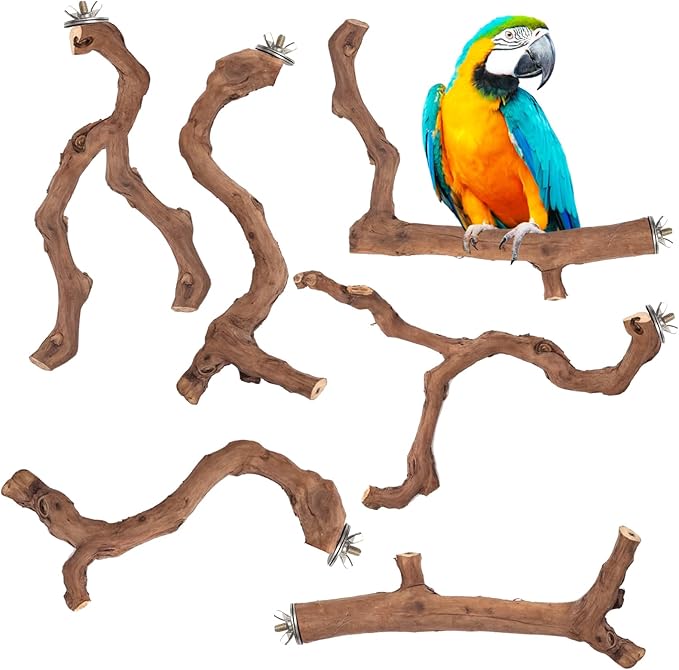 6-Piece Premium Bird Perch Stand with Natural Grape Wood Branch, Paw Grinding Fork, Chewing Stick, Cage Accessories for Parakeets, Budgies, Cockatiels, Finches, Lovebirds-Mewly Pet