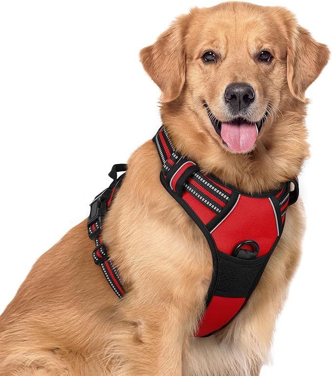 rabbitgoo Dog Harness No Pull with 2 Leash Clips, Adjustable Soft Padded, Reflective Oxford No Choke Pet Vest with Easy Control Handle for Large Dogs, Red, XL-Mewly Pet