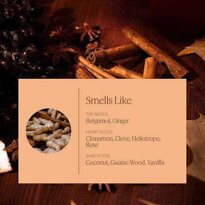Aera Pumpkin Spice Home Fragrance Scent Refill - Notes of Pumpkin, Clove and Vanilla - Works with The Aera Diffuser - Limited Edition