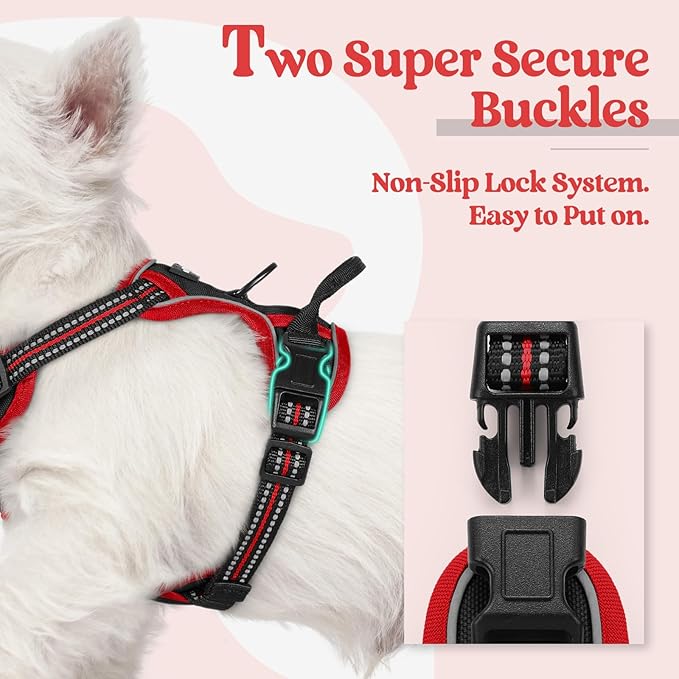 rabbitgoo Dog Harness No Pull with 2 Leash Clips, Adjustable Soft Padded, Reflective Oxford No Choke Pet Vest with Easy Control Handle for Puppy, Black & Red, XS-Mewly Pet