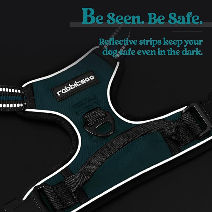 rabbitgoo Dog Harness No Pull with 2 Leash Clips, Adjustable Soft Padded, Reflective Oxford No Choke Pet Vest with Easy Control Handle for Medium Sized Dogs, Blue Coral, M-Mewly Pet