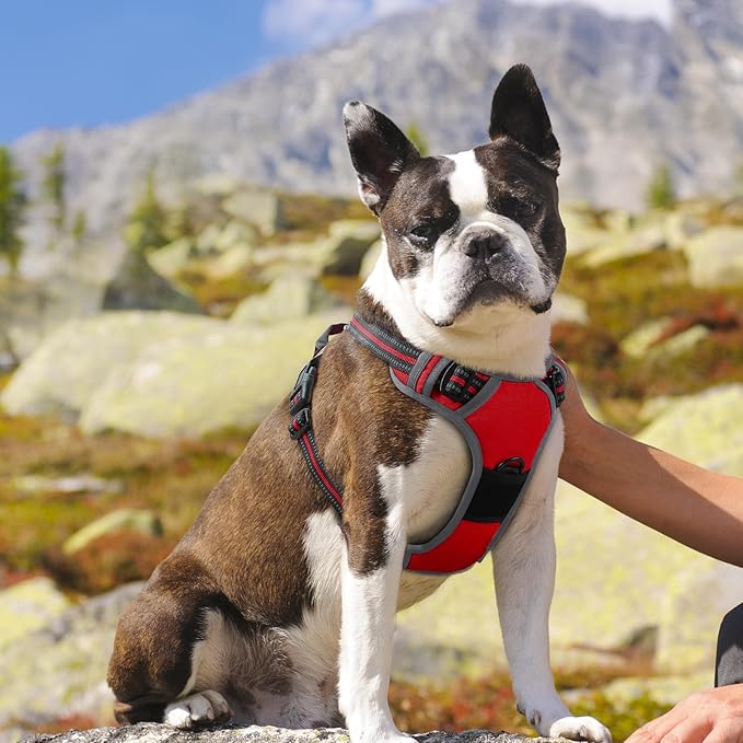 Eagloo Dog Harness Medium Sized Dog, No Pull Service Vest with Reflective Strips and Control Handle, Adjustable and Comfortable for Easy Walking, No Choke Pet Harness with 2 Metal Rings, Red, M-Mewly Pet