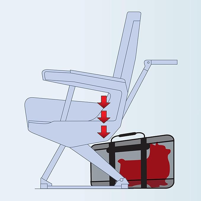 Sherpa Forma Frame Crash-Tested Travel Pet Carrier, Airline Approved & Guaranteed On Board - Black, Medium-Mewly Pet