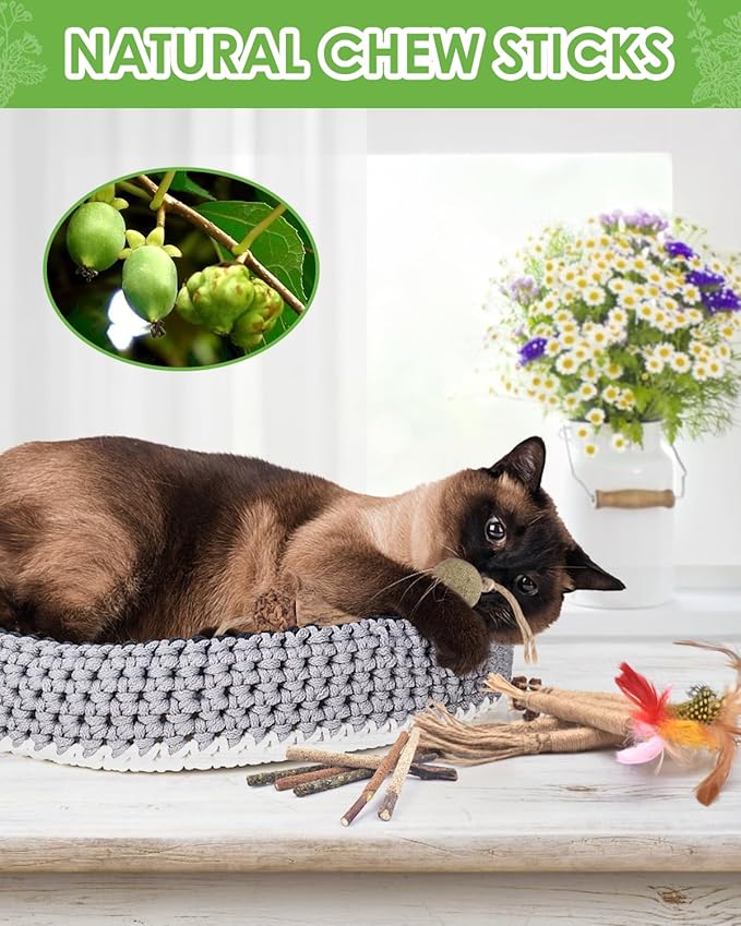 TINDTOP Silvervine Chew Sticks for Cats, 12 Pack Natural Catnip Chew Toys for Kittens Teeth Cleaning, Matatabi Dental Care, Increase Appetite, Calm Cat Anxiety and Stress, Cat Dental Toy-Mewly Pet