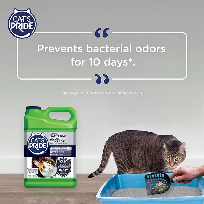 Cat's Pride Max Power: Bacterial Odor Control - Up to 10 Days of Powerful Odor Control - Strong Clumping - 99% Dust Free - Multi-Cat Litter, Fresh Scented, 15 Pounds-Mewly Pet