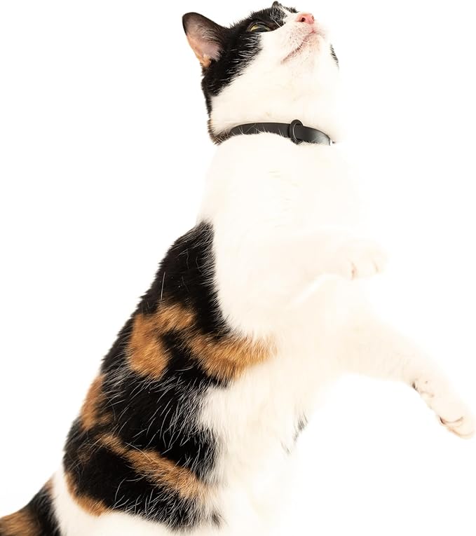 Silicone Cat Collars 2 Pack - Soft, Comfortable, and Lightweight Safety Breakaway Collar with Name Tag Ring for Outdoor Cats and Sensitive Skin Kittens by Nuvuq (6 ⅞" to 10 ¼", Black)-Mewly Pet