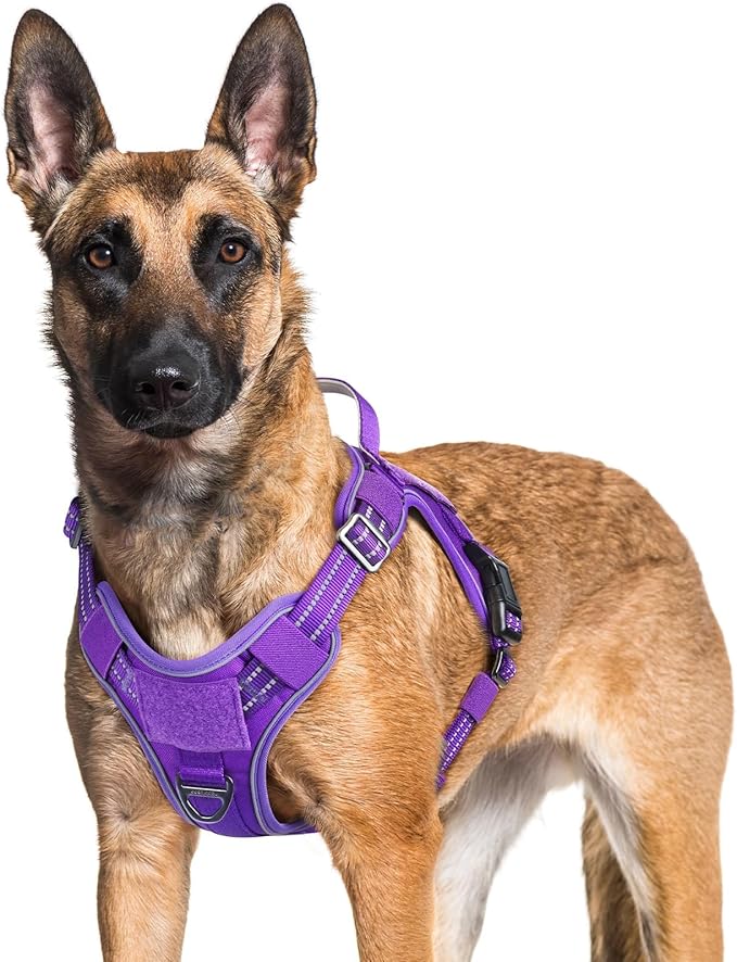 rabbitgoo Dog Harness for Large Dogs No Pull, Tactical Service Pet Vest with Molle and Control Handle, Adjustable and Reflective Military Harness for Easy Walking and Training, Purple, XL-Mewly Pet