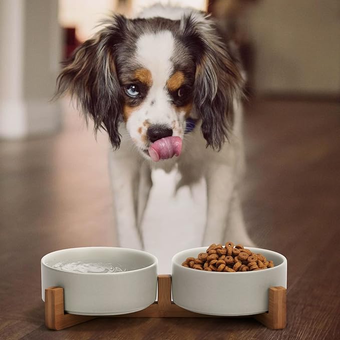 SPUNKYJUNKY Ceramic Dog and Cat Bowl with Wood Stand Non-Slip Matte Glaze Weighted Food Water Set for Cats &Small Dogs 13.5OZ-Mewly Pet