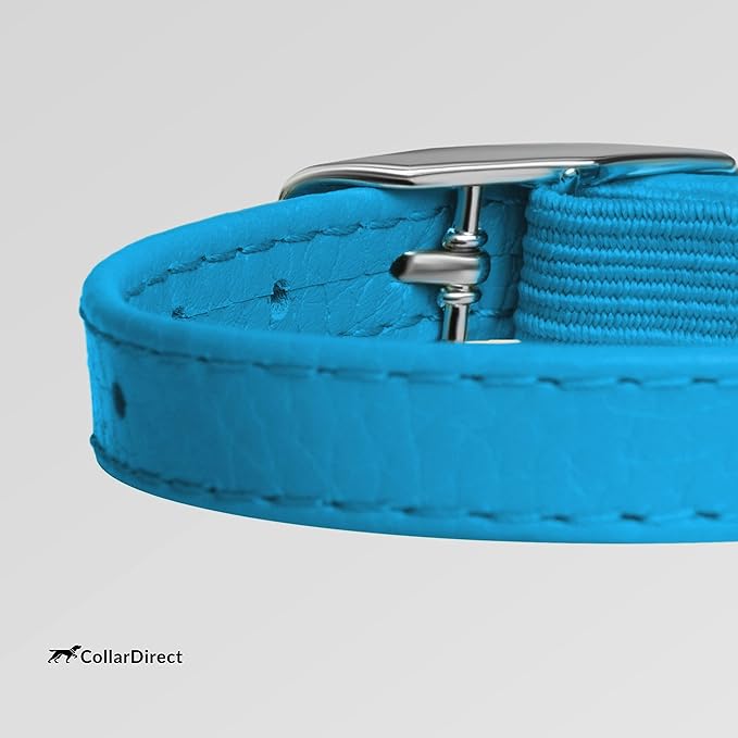 CollarDirect Leather Cat Collar, Kitten Collar with Removable Bell Black Blue Red Orange Lime Green (8-11 Inch, Light Blue)-Mewly Pet