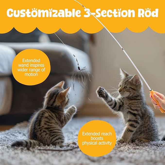 Cat Wand 38" - Retractable Cat String Toy with Spider Teaser and Refill, Perfect Interactive Toy for Indoor Cats and Kittens-Mewly Pet