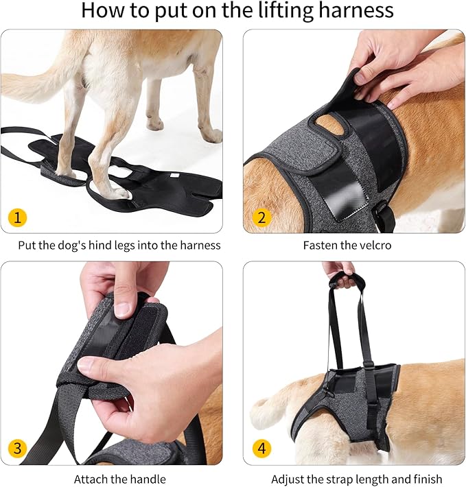 HEYWEAN Dog Sling for Large Dogs Hind Leg Support Harness Ideal for Elderly Injured Arthritic Dogs Provides Rehabilitation Aid for Weak Back Legs Comfortable and Durable Design-Mewly Pet