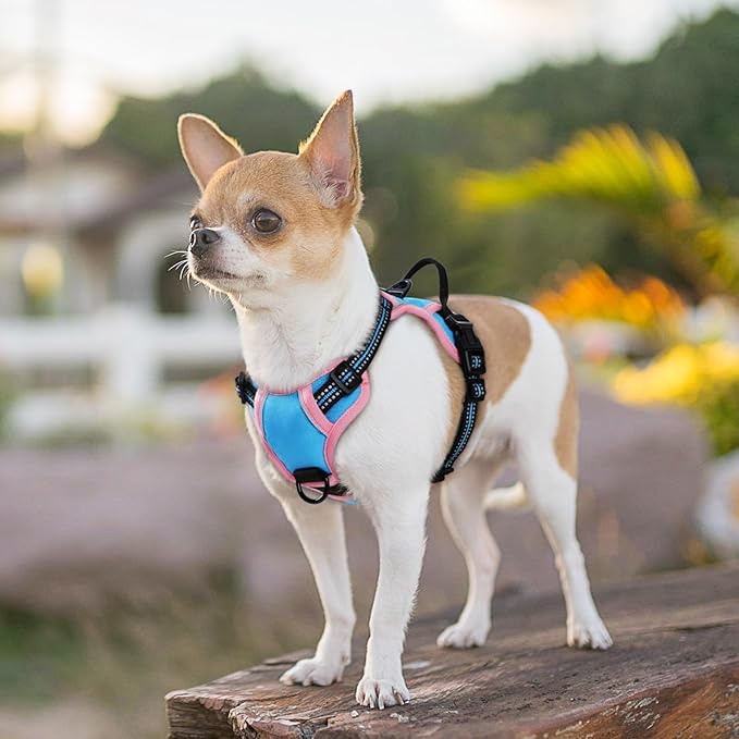 Eagloo Small Dog Harness No Pull, Service Vest with Reflective Strips and Control Handle, Adjustable and Comfortable for Walking, No Choke Pet Harness with 2 Metal Rings, Pink & Blue, XS-Mewly Pet