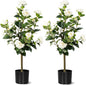 Artificial Camellia Tree 2 Pack, Artificial Plants Outdoor Faux Floral Plant in Cement Pot Fake Silk Camellia Tree Plants for Home House Living Room Office Decor