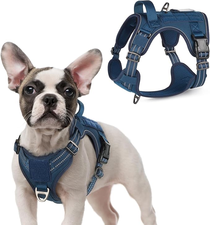 rabbitgoo Tactical Dog Harness for Small Dogs, No Pull Military Service Vest with Handle & Molle, Easy Control for Training Walking, Adjustable Reflective Straps, Blue, S-Mewly Pet