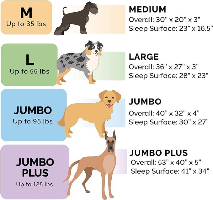 FurHaven Orthopedic Foam Sofa Dog Bed with Washable & Removable Cover - Plush/Suede - Almondine, Dogs Up to 35 lbs - Medium-Mewly Pet