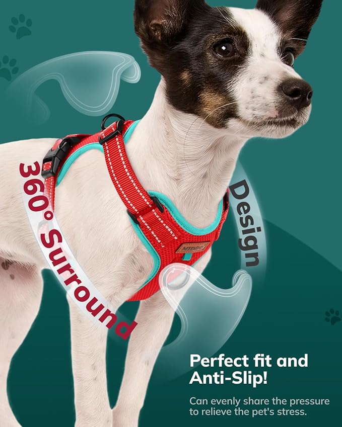 MIDOG No-Pull Dog Harness | Adjustable & Reflective Pet Harness Leash Set for Small Medium Large Dogs Walking, Training| No Choke, Front Clip, Soft Padded Vest with Easy Control Handle - Red, S-Mewly Pet