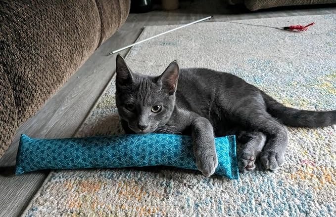 15" Catnip Cat Kicker Toys/Kitty Kick Sticks/Cat-Nip Kick Sticks (Emerald Green) (Kickers Filled with 1 oz Premium Canadian Catnip)-Mewly Pet