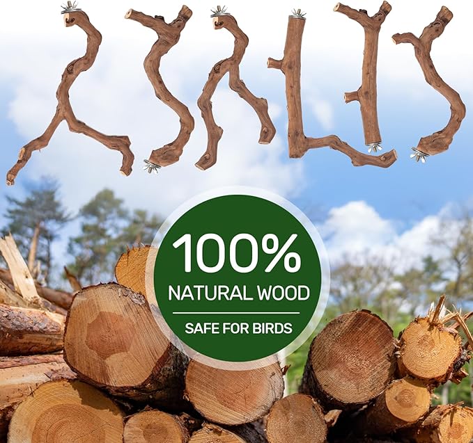 6-Piece Premium Bird Perch Stand with Natural Grape Wood Branch, Paw Grinding Fork, Chewing Stick, Cage Accessories for Parakeets, Budgies, Cockatiels, Finches, Lovebirds-Mewly Pet