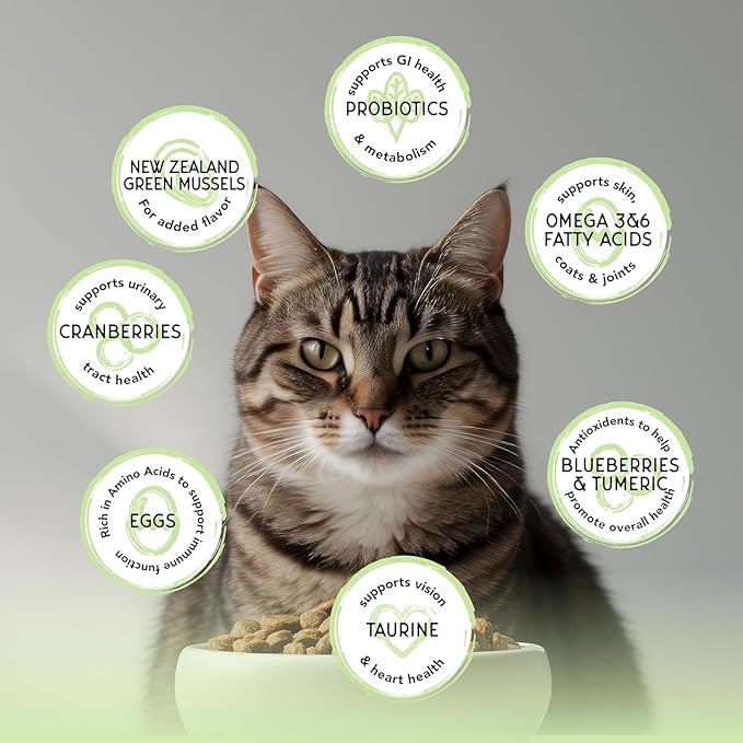 Blackwood Bounty Dry Cat Food, Whitefish & Lentil Recipe for All Life Stages, 10 Pound Bag, High Protein, Grain Free-Mewly Pet