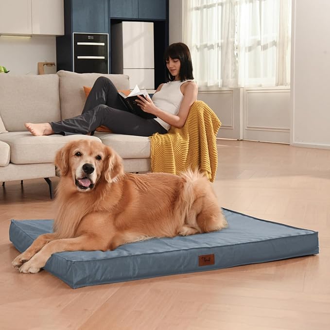 Medium Dog Bed for Medium/Small Dogs, Orthopedic Dog Beds with Removable Washable Waterproof Cover, Egg Crate Foam Pet Bed Mat, Blue-Mewly Pet