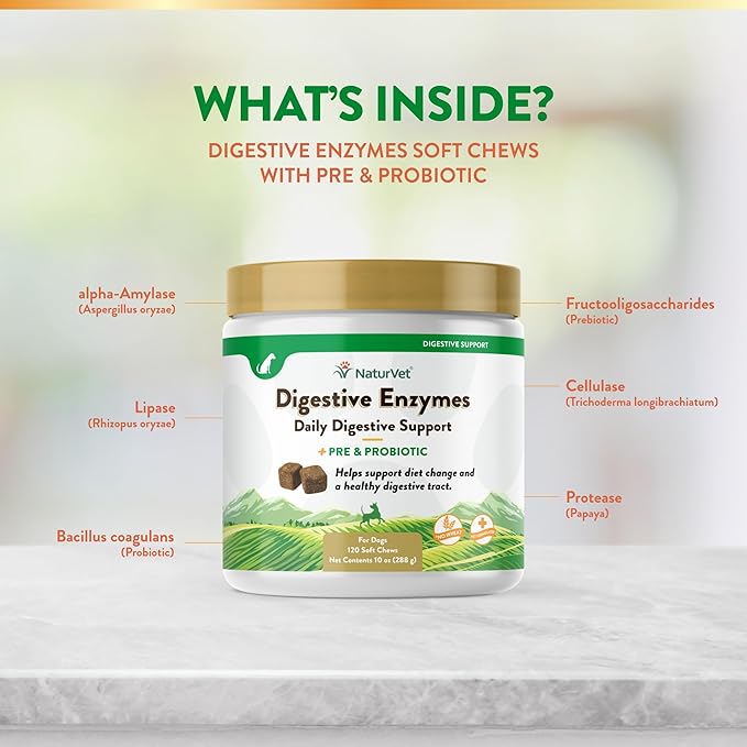 NaturVet – Digestive Enzymes - Plus Probiotics & Prebiotics – Helps Support Diet Change & A Healthy Digestive Tract – for Dogs & Cats (Soft Chews, 120 Count)-Mewly Pet