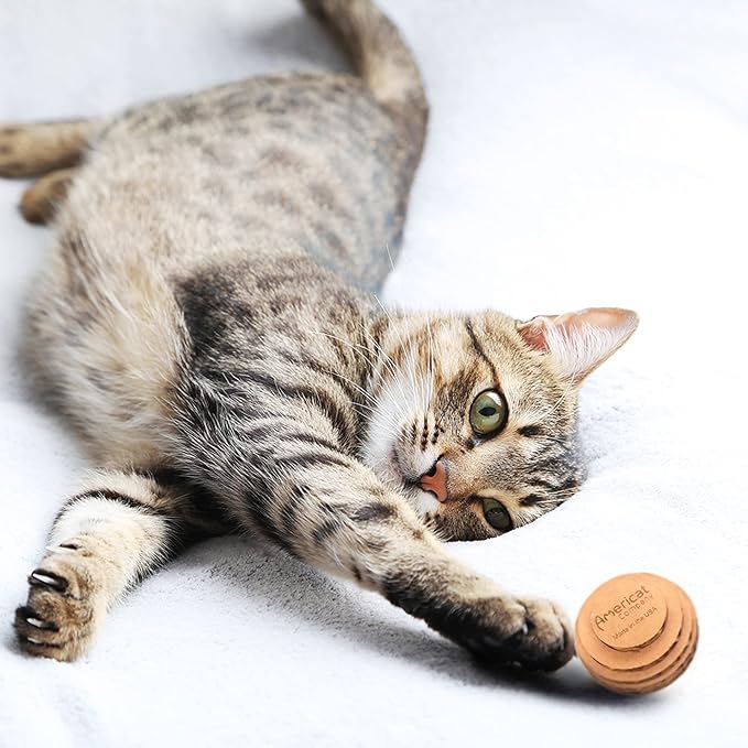 Cat Ball Toys by Americat – Made in USA – Safe Cardboard Cat Toys – for Interactive and Independent Play, Exercise & Stress Relief for All Breeds & Ages (Pack of 3 Round Balls)-Mewly Pet