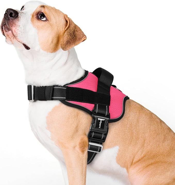 rabbitgoo Dog Harness for Large, Easy On Pet Vest with One Buckle, No Pull Adjustable Service Harness with D-Ring & Handle, Reflective for Safety Walking, Training, Pink, L-Mewly Pet