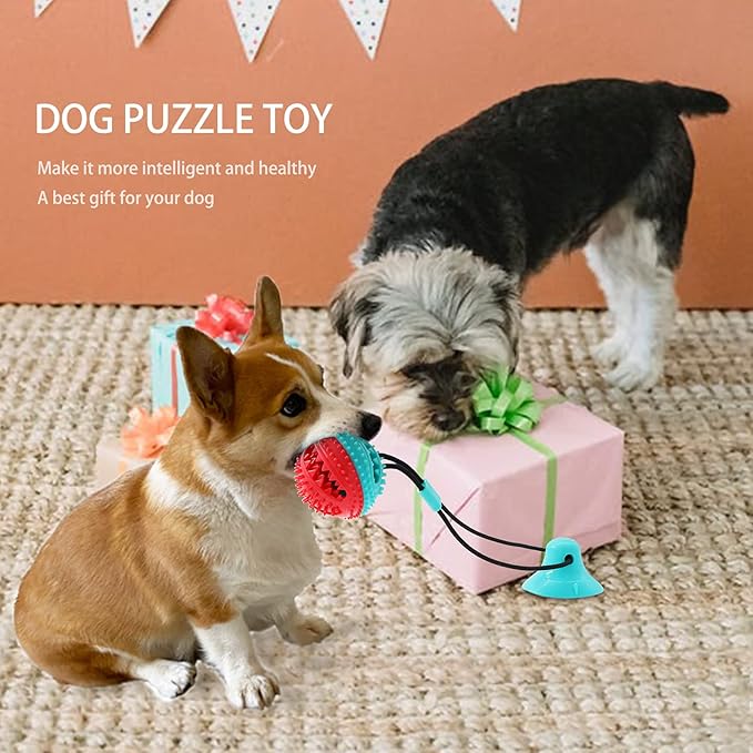 Dog Toys Dog Chew Toys for Aggressive chewers, Puppy Dog Training Treats Teething Rope Toys for Boredom Dog Puzzle Treat Food Dispensing Ball Toys for Puppies Teething (Blue)-Mewly Pet