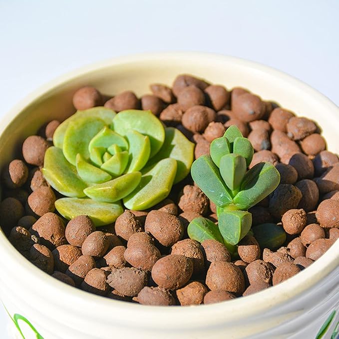 Halatool 8LB Clay Pebbles for Plants 4mm-16mm Lightweight Hydroton Leca Balls for Indoor Potted Plants Hydroponics Gardening Orchids Drainage Decoration Aquaponics-Mewly Pet