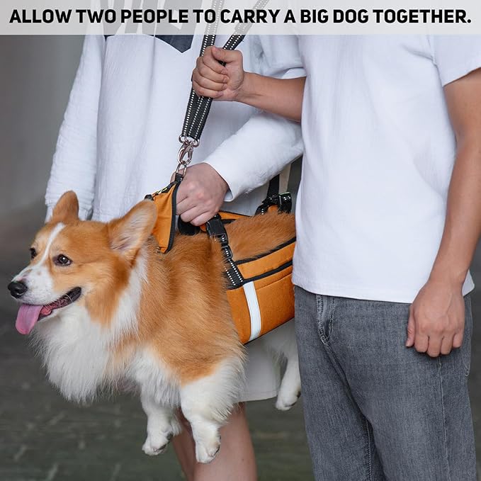COODEO Mobility Dog Lift Harness, Emergency Carry Sling, Pet Rear Leg Support Rehabilitation Lifts Vest, Dog Carrier for Senior Dogs Joint Injuries, Arthritis (Orange, L)-Mewly Pet