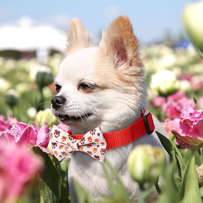 Hillban 50 Pieces Paw Print Dog Collar Bow Ties Colorful Paw Print Dog Collar Accessories Bow Ties Attachment with Elastic Bands Detachable Charms for Pets Collar Accessories Daily Costume-Mewly Pet