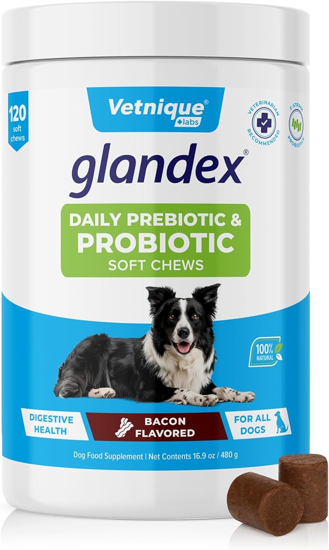 Vetnique Glandex Daily Probiotics for Dogs with Prebiotics to Support Gut Health with Fiber and Digestive Enzymes, Probiotic Chews or Powders (120ct Chews, Bacon Chews)-Mewly Pet