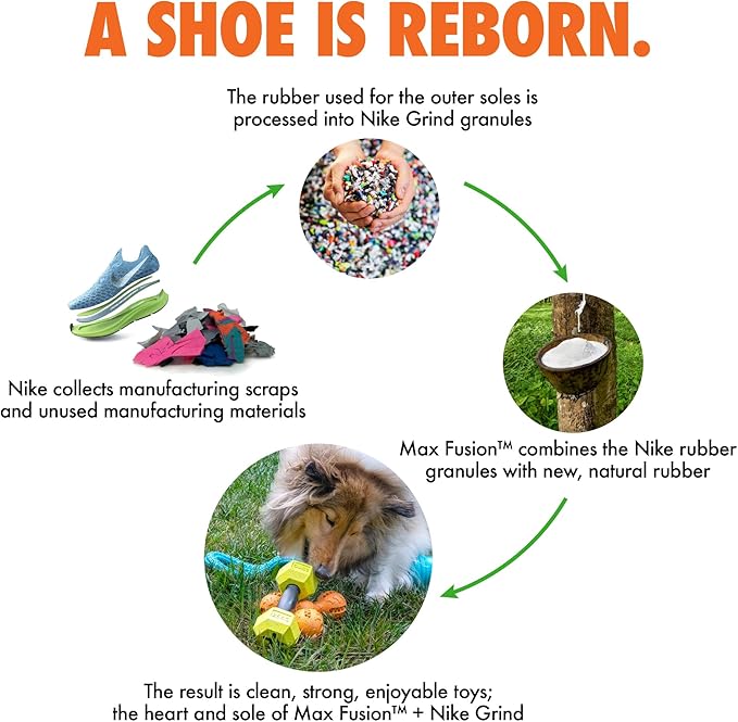 Max Fusion with Nike Grind, Arlee Rubber Bone Dog Toy, Chew Toy for Play, Fetch, Tug, M-Mewly Pet