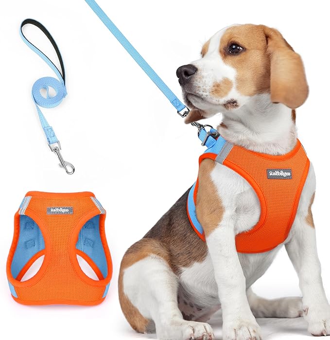 rabbitgoo Dog Harness Small Medium Sized and Leash Set, Step in Soft Light Puppy Vest, Breathable Mesh Pet Harness, Reflective for Safe Easy Walking, Blue & Orange L-Mewly Pet