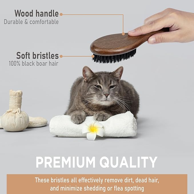 Takavu Boar Bristle Cat Hair Brush, Gentle Grooming Brush with Natural Bristles and Wooden Handle for Sensitive Skin, Pet Cleaning Supplies Keeping Your Cat's Fur Hair Coat Healthy and Shiny-Mewly Pet