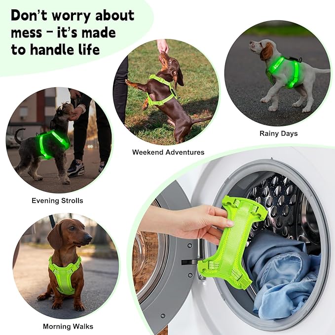 Rechargeable Light Up Dog Harness for Small Dogs – Adjustable LED Dog Vest with Reflective Strips, No Pull Glow in The Dark Puppy Harness for Night Walking Safety-Green-Mewly Pet
