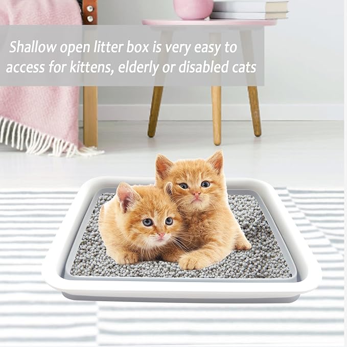 Collapsible Small Cat Litter Box, 14.6 x 10.6 x 4.8 inch Open Waterproof Low Entry Kitten Potty Pan Semi-Enclosed Pet Toilet for Sick Frail Kitty Grey-Mewly Pet