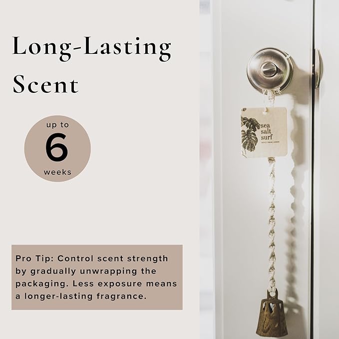 Broken Top Botanical Car Air Freshener Variety Pack, 6 Pack (2 Coconut Sandalwood, 2 Saguaro Cactus, 2 Sea Salt Surf)-Mewly Pet