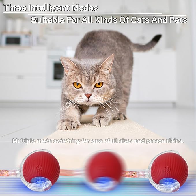New Upgraded Cat Ball Toy - Speedy Tail 2.0 Cat Toy, Interactive Cat Toy Ball, Stimulating Toys and Juguetes para Gatos, Cat Toys for Bored Indoor（Sound Switchable） (Blue)-Mewly Pet