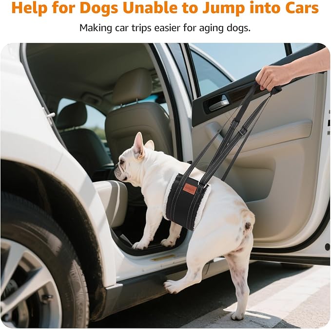 LOOBANI Portable Dog Sling for Back Legs, Hip Support Harness to Help Lift Dogs Rear for Canine Aid and Old K9 Cruciate Ligament Rehabilitation-Mewly Pet