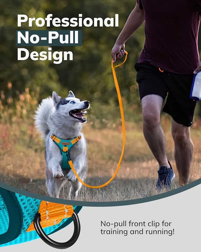 MIDOG No-Pull Dog Harness | Adjustable & Reflective Pet Harness Leash Set for Small Medium Large Dogs Walking, Training| No Choke, Front Clip, Soft Padded Vest with Easy Control Handle - Blue, S-Mewly Pet