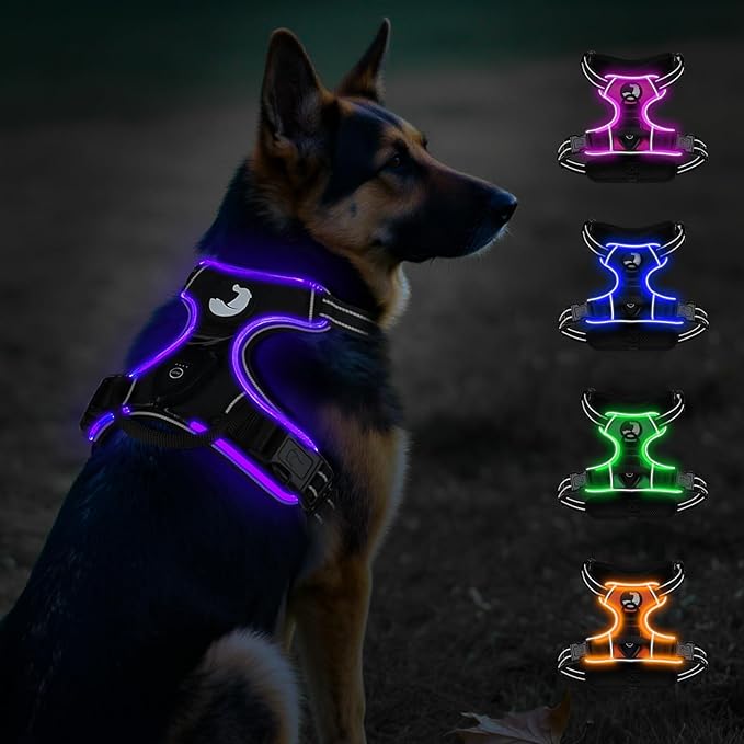 Taglory Light Up Dog Harness, Rechargeable No Pull Dog Vest with 3 Lightning Modes, Reflective Dog Harness with 2 Leash Clips & 4 Adjustable Slide Strips for Large Dogs, Black-Purple, XL-Mewly Pet