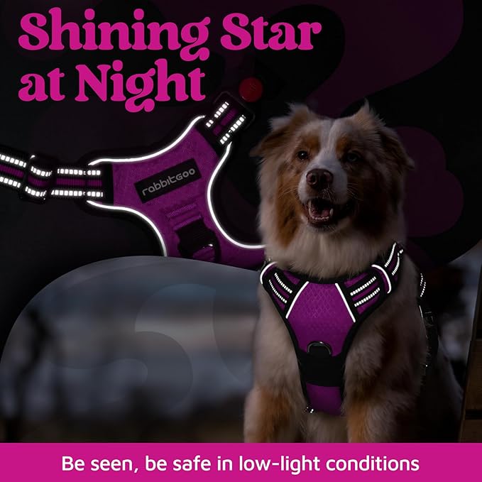 rabbitgoo Dog Harness for Large Dogs, No Pull Pet Vest with 3 Buckles, Adjustable Soft Padded Pet Harness with Easy Control Handle and Reflective Strips, Purple, L-Mewly Pet