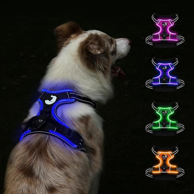 Taglory Light Up Dog Harness, Rechargeable No Pull Dog Vest with 3 Lightning Modes, Reflective Dog Harness with 2 Leash Clips & 4 Adjustable Slide Strips for Large Dogs, Black-Blue, L-Mewly Pet