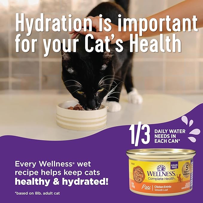 Wellness Complete Health Pate Kitten Wet Cat Food Canned Food, Natural, Protein-Rich, Grain Free, 3 Ounce Cans, 24 Pack, (Whitefish & Tuna)-Mewly Pet